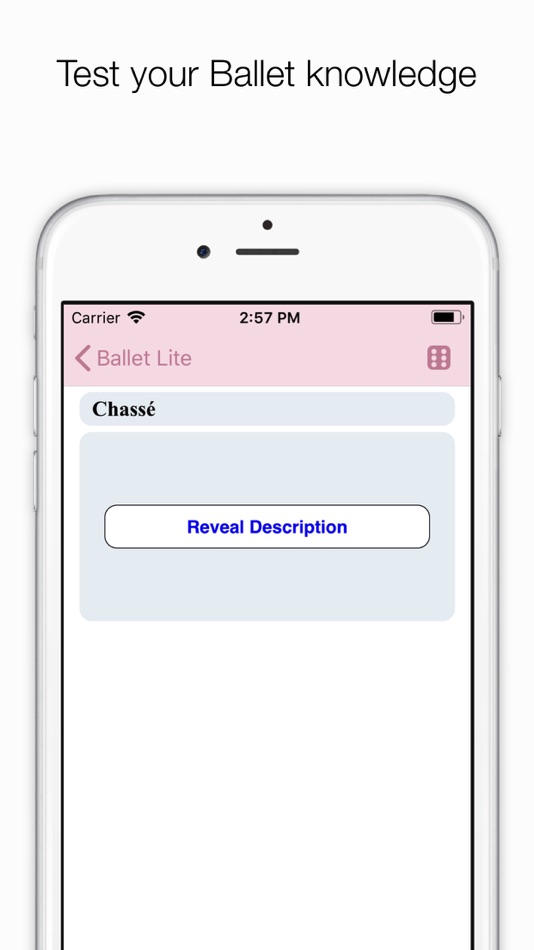 #4. Ballet Index (iOS) 由: Cannonade.Net