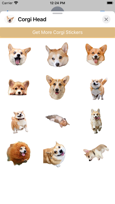 Corgi Dog's Head Screenshot