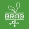 Using the Brad application makes it possible to anticipate risks and opportunities to produce better, to limit inputs, with less waste and at a lower cost