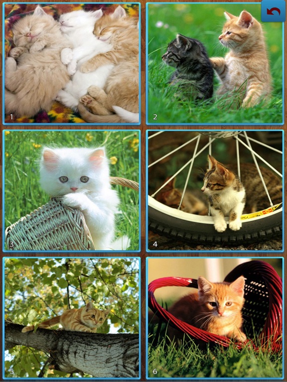 Screenshot #5 pour Cats Jigsaw Puzzles - Titan