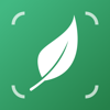 LiLy: Plant, Flower Identifier - Laraun