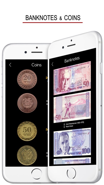 Armenian Words & Writing screenshot-3