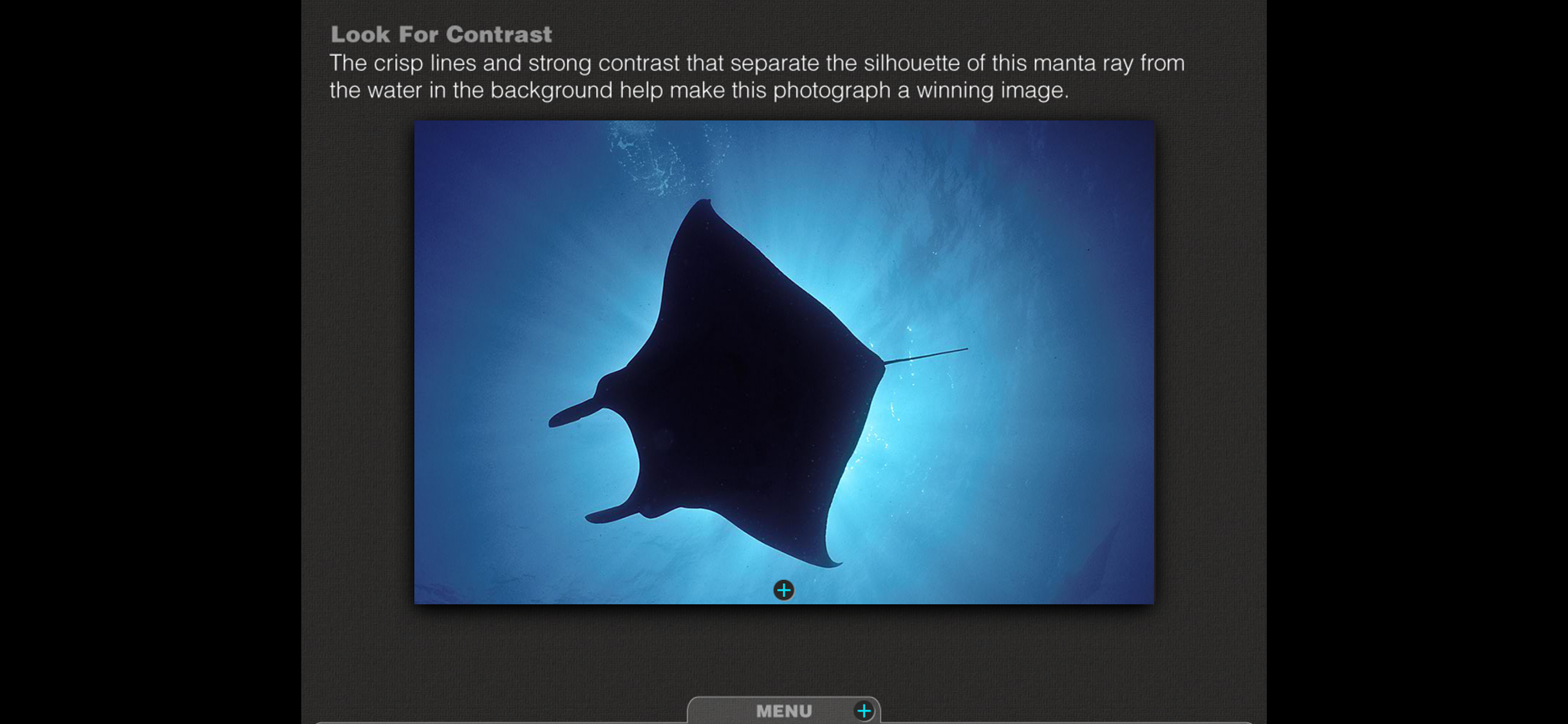 Silhouettes Underwater screenshot 5