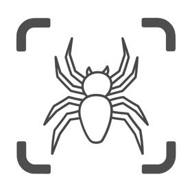 Spider Identifier: AI Identify