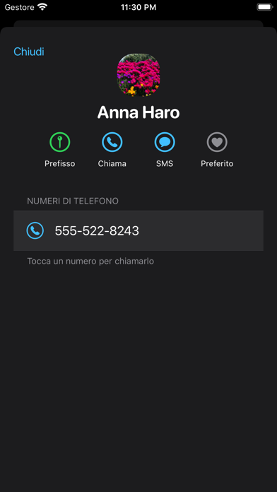 Corporate Call Prefisso 4146 Screenshot