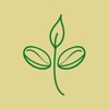 Plant Candy Collective icon