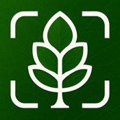 Tree Identifier: Tree id