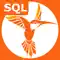 SQL Recipes Pro anmeldelser