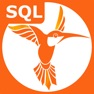 Get SQL Recipes Pro for iOS, iPhone, iPad Aso Report