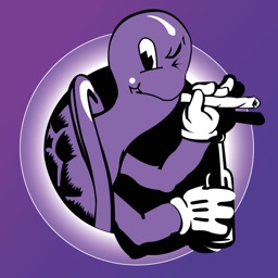 Purple Turtle Bar