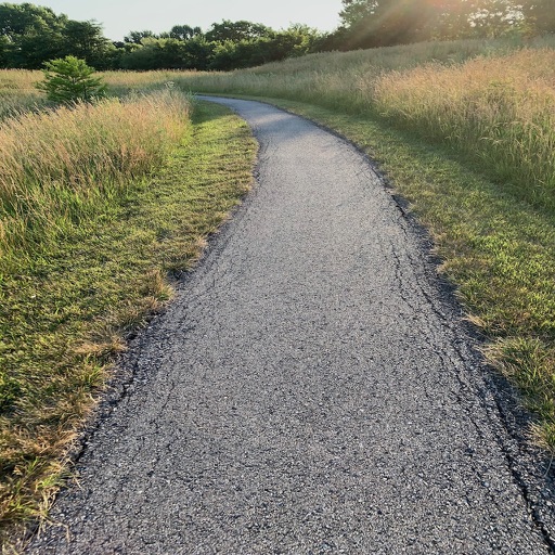 Further: Set a goal and go!