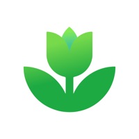 Plant App: Plant Identifier