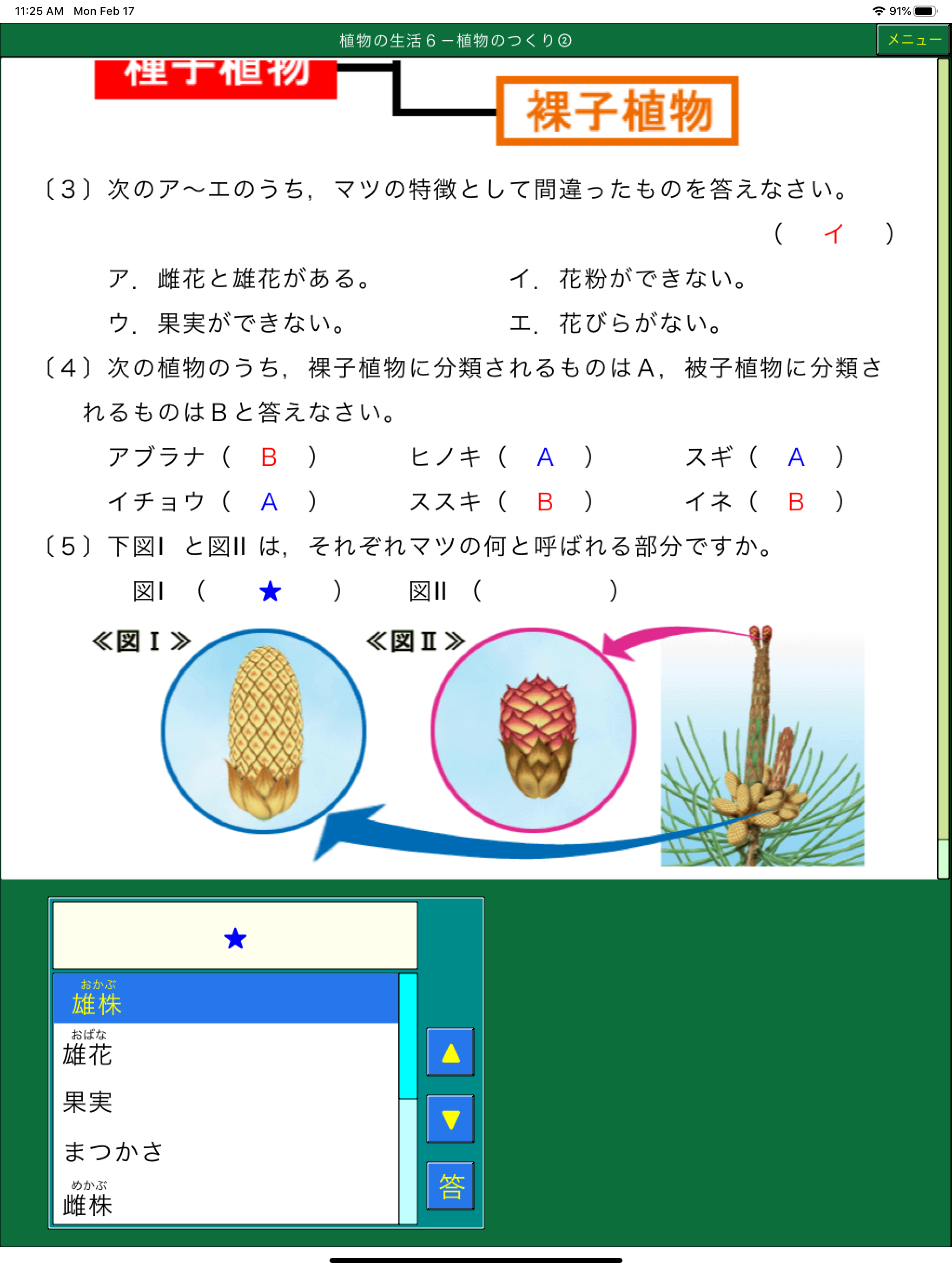 ダンケ理科中学１年 screenshot 10