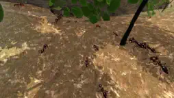 Ant Simulation 3D screenshot 1