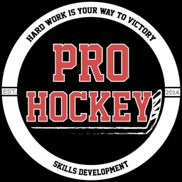 Pro Hockey