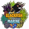 Blackfish Marine - iPadアプリ