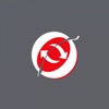 Reliance Financial Services icon