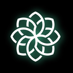 AI Ask - Chat with AI Bots