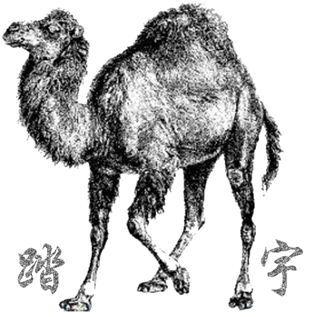 Get perli-run code,autocomplete,we for iOS, iPhone, iPad Aso Report