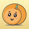 Apricot - Tech Services to You icon