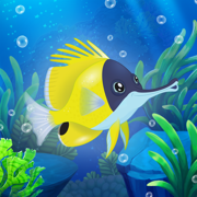 Splash — Fish Aquarium