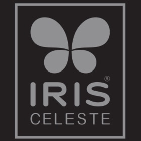 螢幕擷取畫面 (4) IRISCeleste