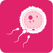 排卵期计算器-备孕之安全期大姨妈日历 和 女性生理周期