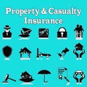 Property-Casualty Insurance