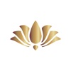 Aakaar Gold icon