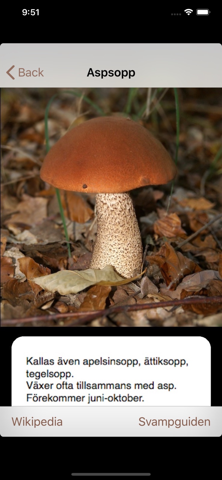 Svamparna iphone screenshot 3