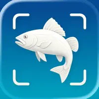 Fish Identifier: Fishly