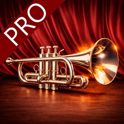 chansons de trompette pro