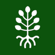 RiL Letter Tiles