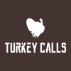 Turkey Calls icon