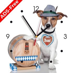 屏幕截图 (10) Analog Clock - Stand Face Time