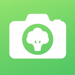 Healthy Food Tracker Meal Pics