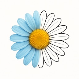 Sketchly – Color Your Pics