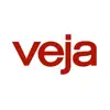 VEJA problems & troubleshooting and solutions