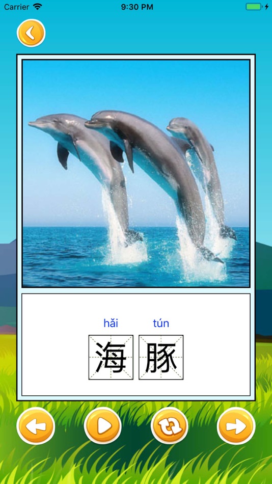 #3. Aiword Flash Card (iOS) 由: 成都爱识字信息技术有限公司