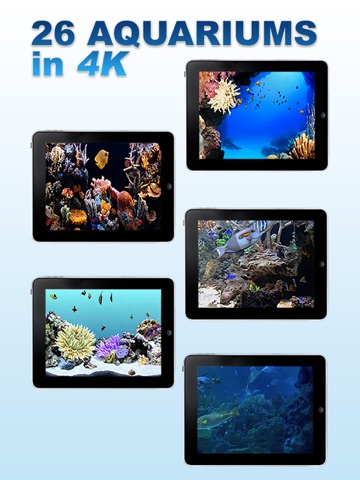 Aquariums Fireplaces AIR RELAX iPad screenshot