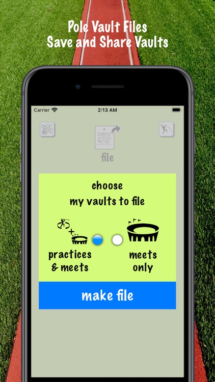 iPoleVault ( Track and Field ) screenshot-8