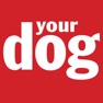 Get Your Dog for iOS, iPhone, iPad Aso Report