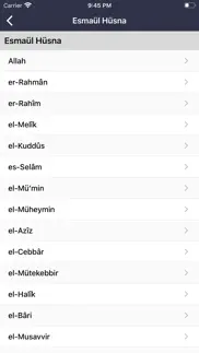 zikirmatik - tesbih et iphone resimleri 4