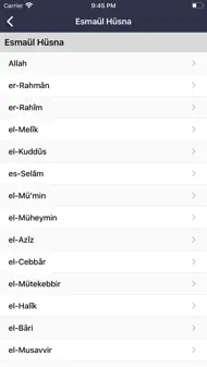 Zikirmatik - Tesbih Et iphone resimleri 4