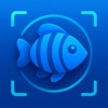 Fish Identifier App icon