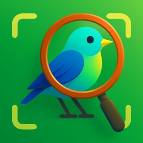 Bird Identifier: Photo & Sound