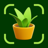 Plant Disease Identifier AI - Arda Sen