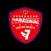 F. Paraense Soccer Society icon