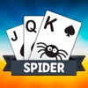 Solitaire Plus Spider Online icon