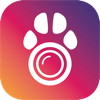 ไอคอนแอป PetCam App - Dog Camera App, Mac App Store 免费榜 อันดับ 23